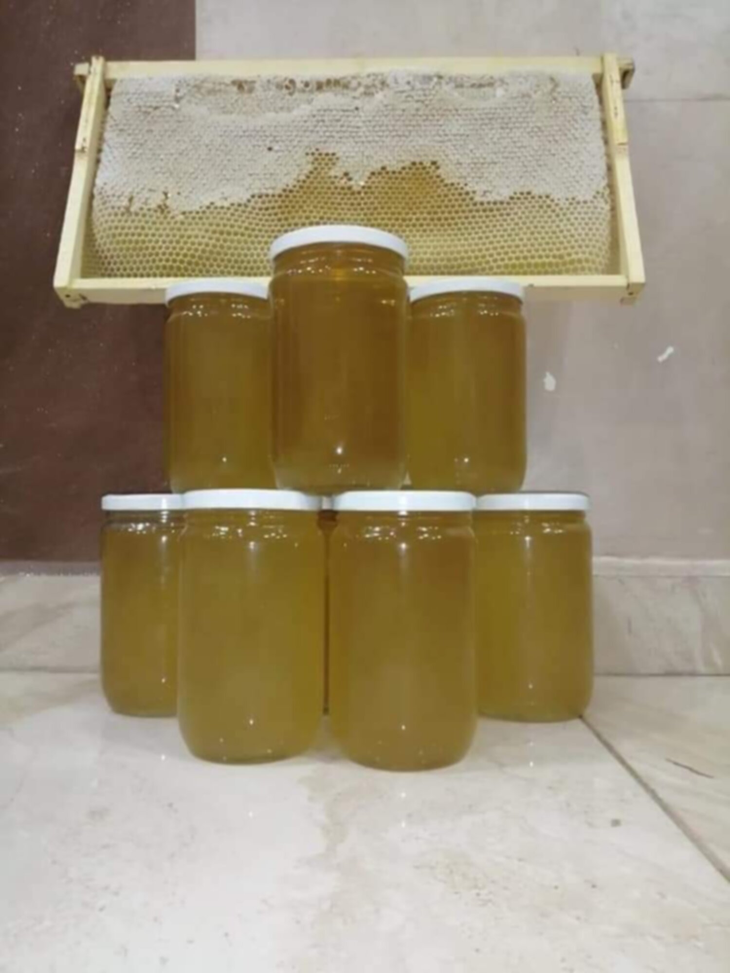 عسل شوك مرار