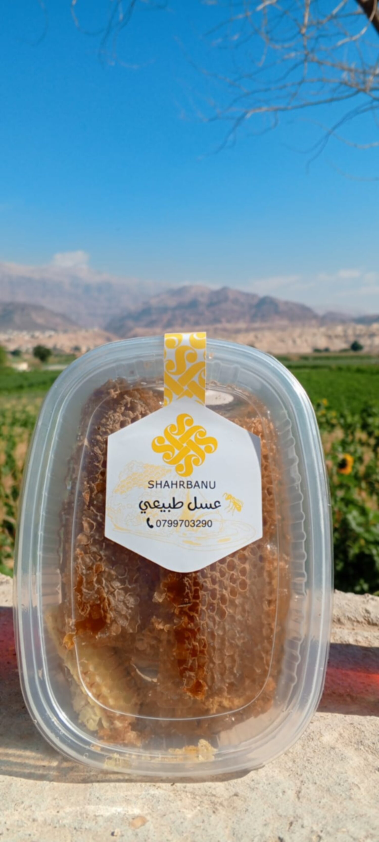 شمع العسل