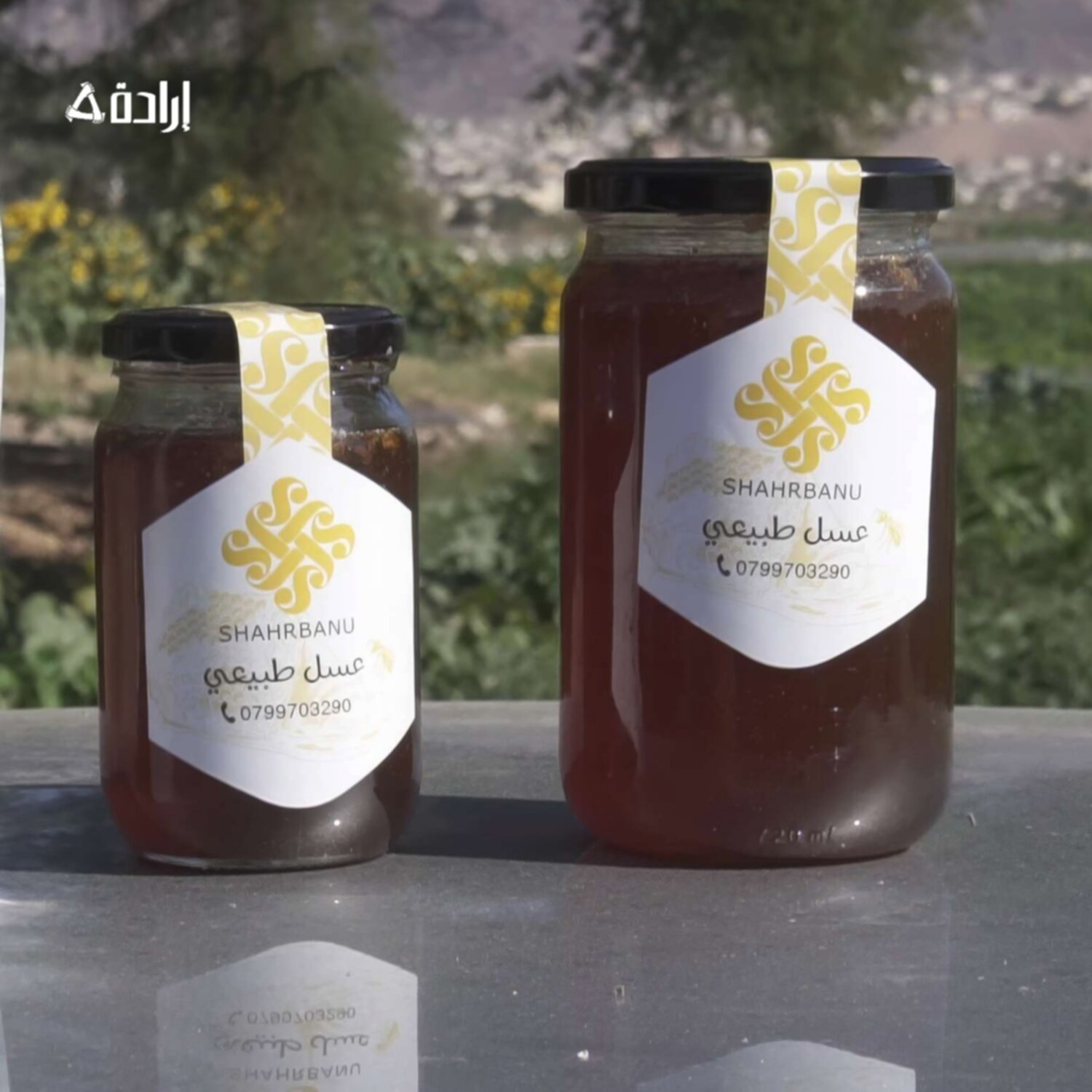 عسل سدر طبيعي 100%