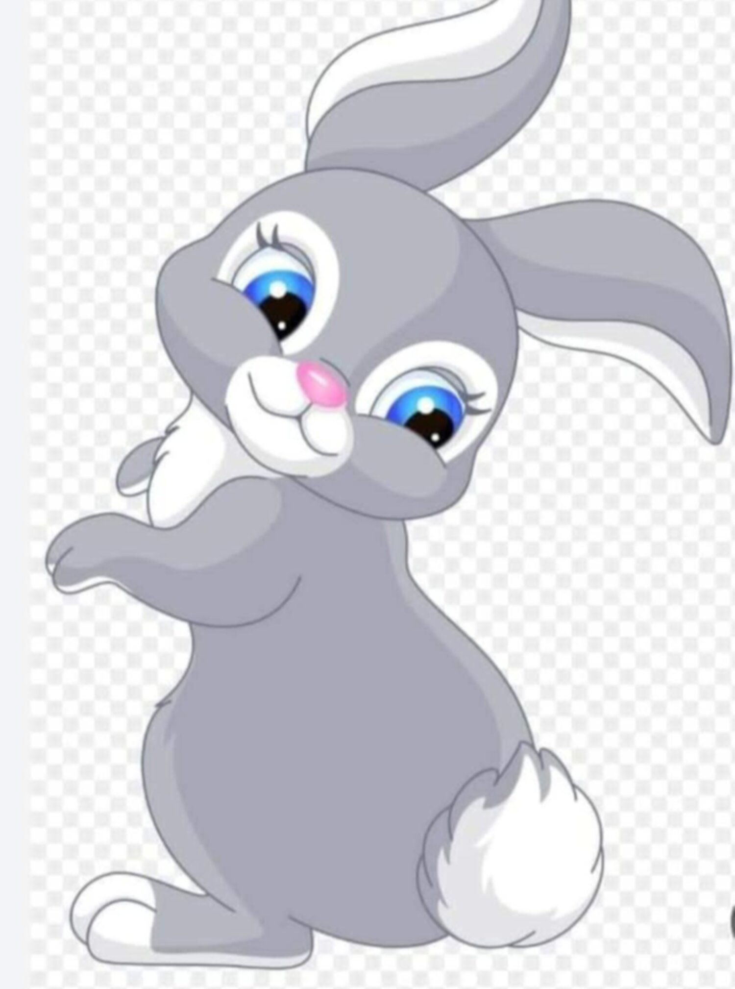 بوكس مجسم الأرنب 🐇