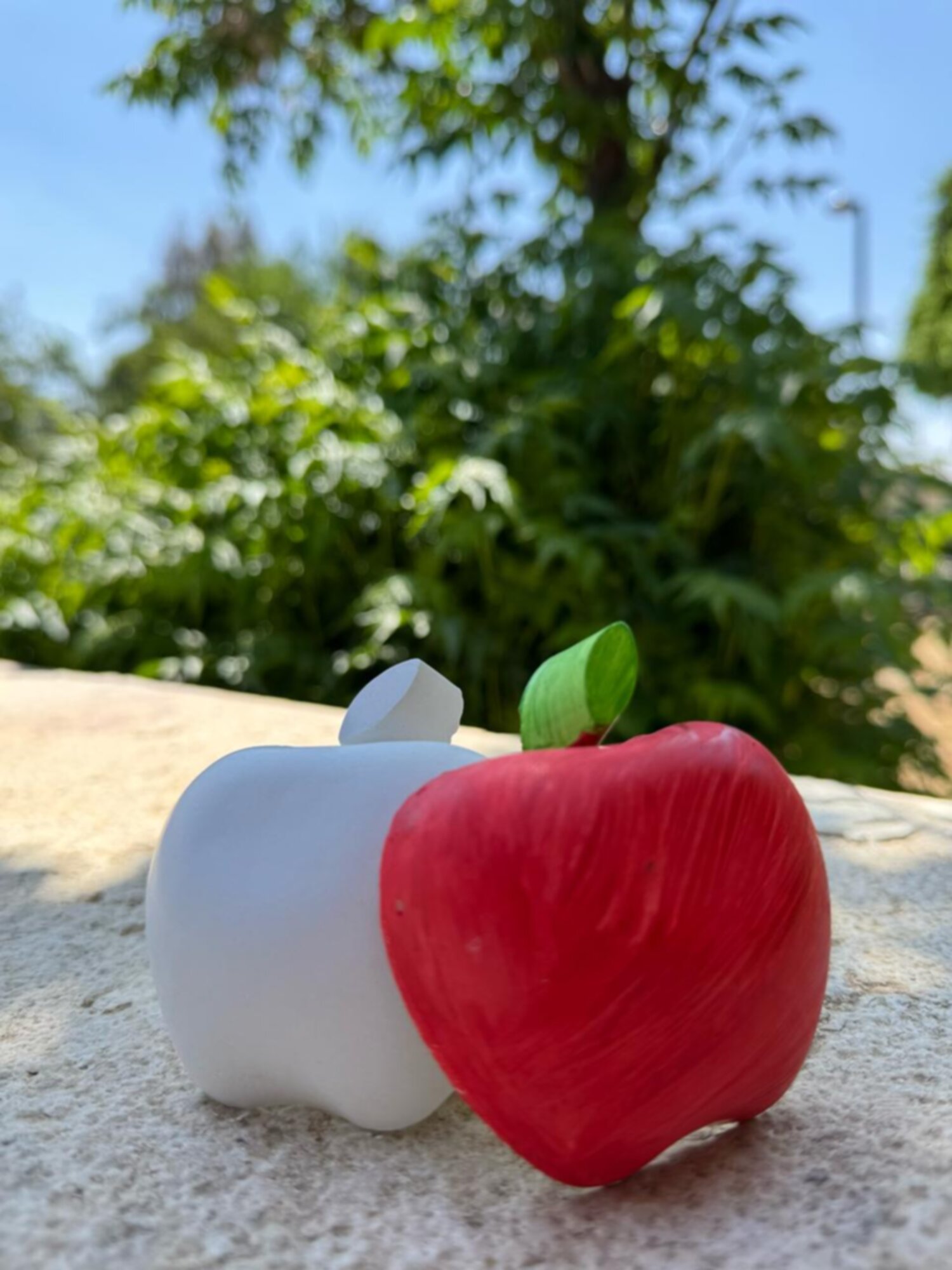 تفاحة جبس 🍎