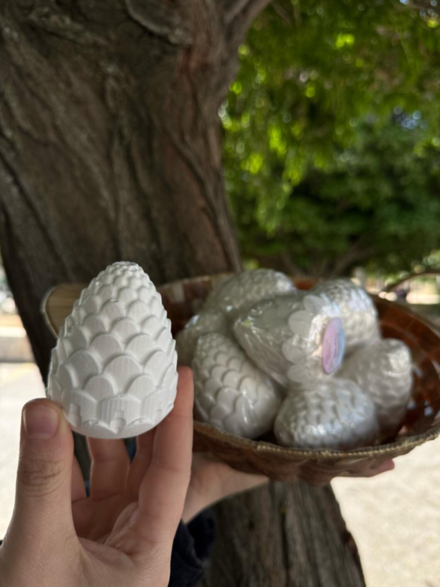 شجرة صنوبر 🌲