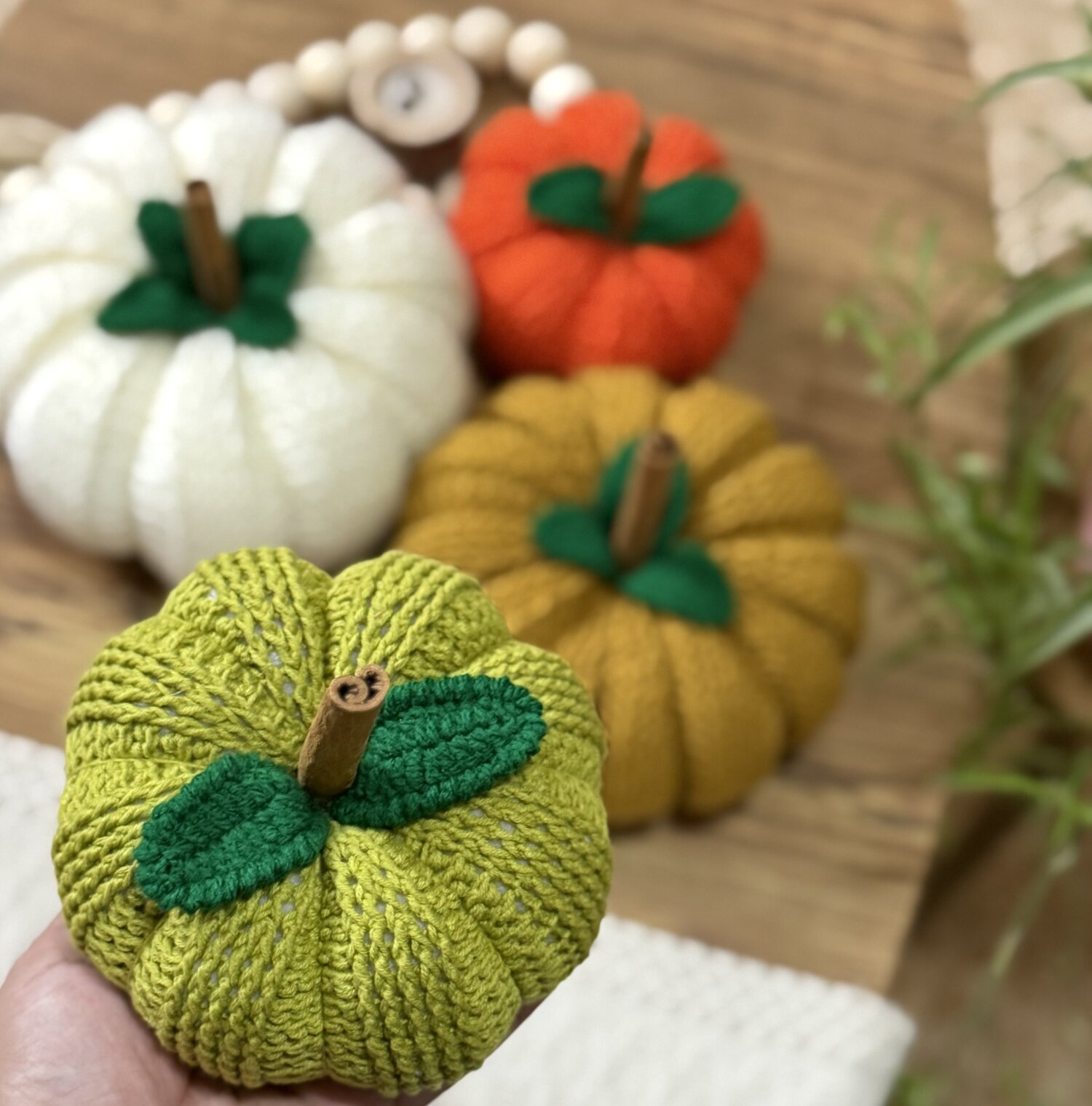 يقطين الخريف