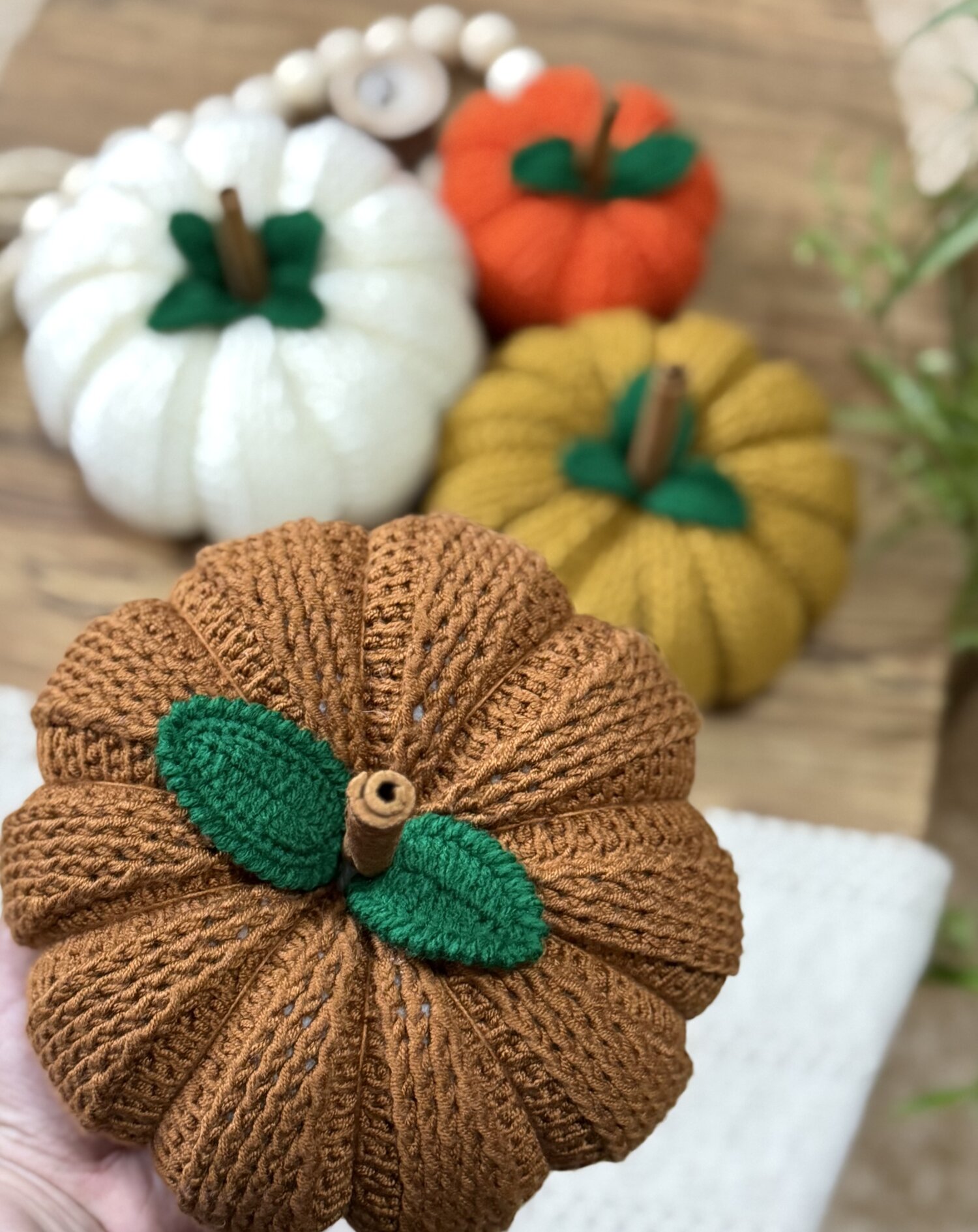 يقطين الخريف