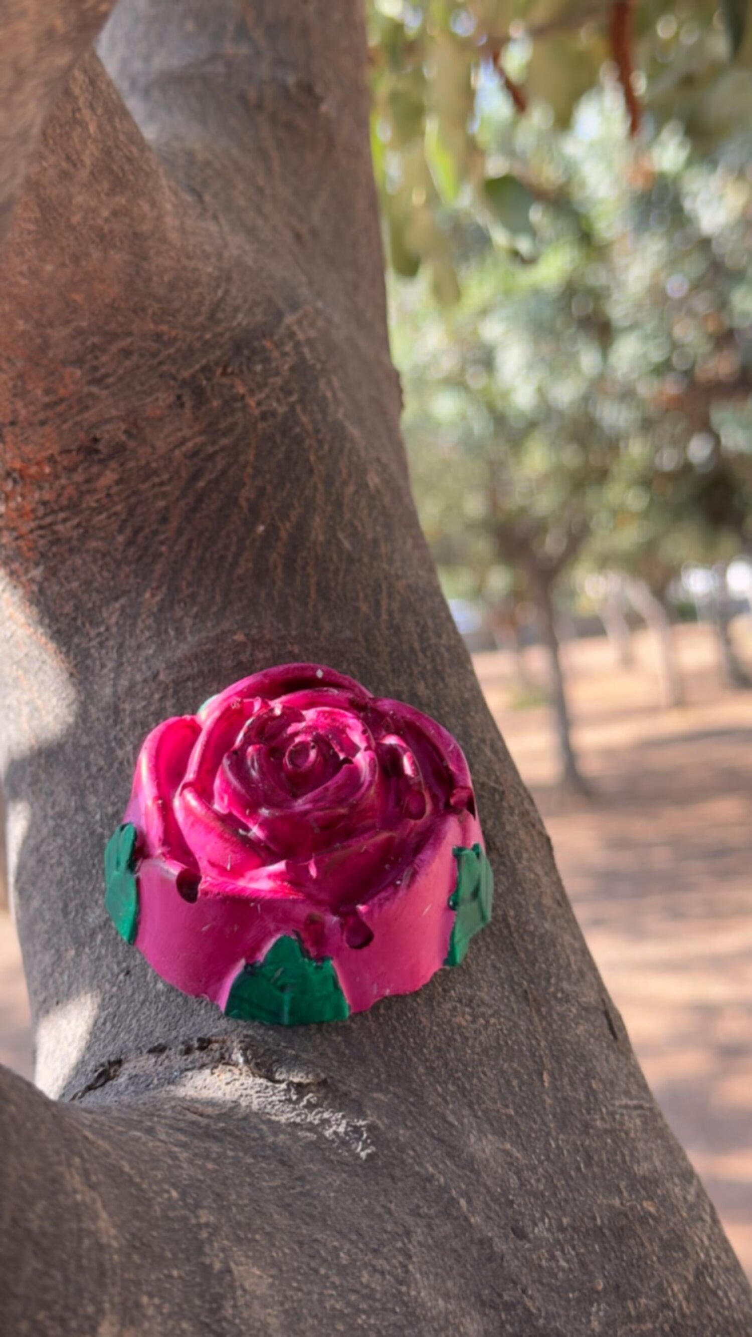 جبس الوردة 🌸