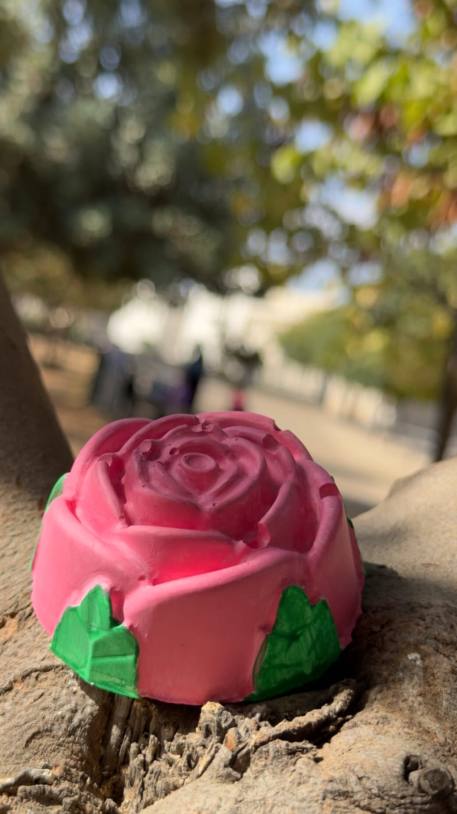 جبس الوردة 🌸