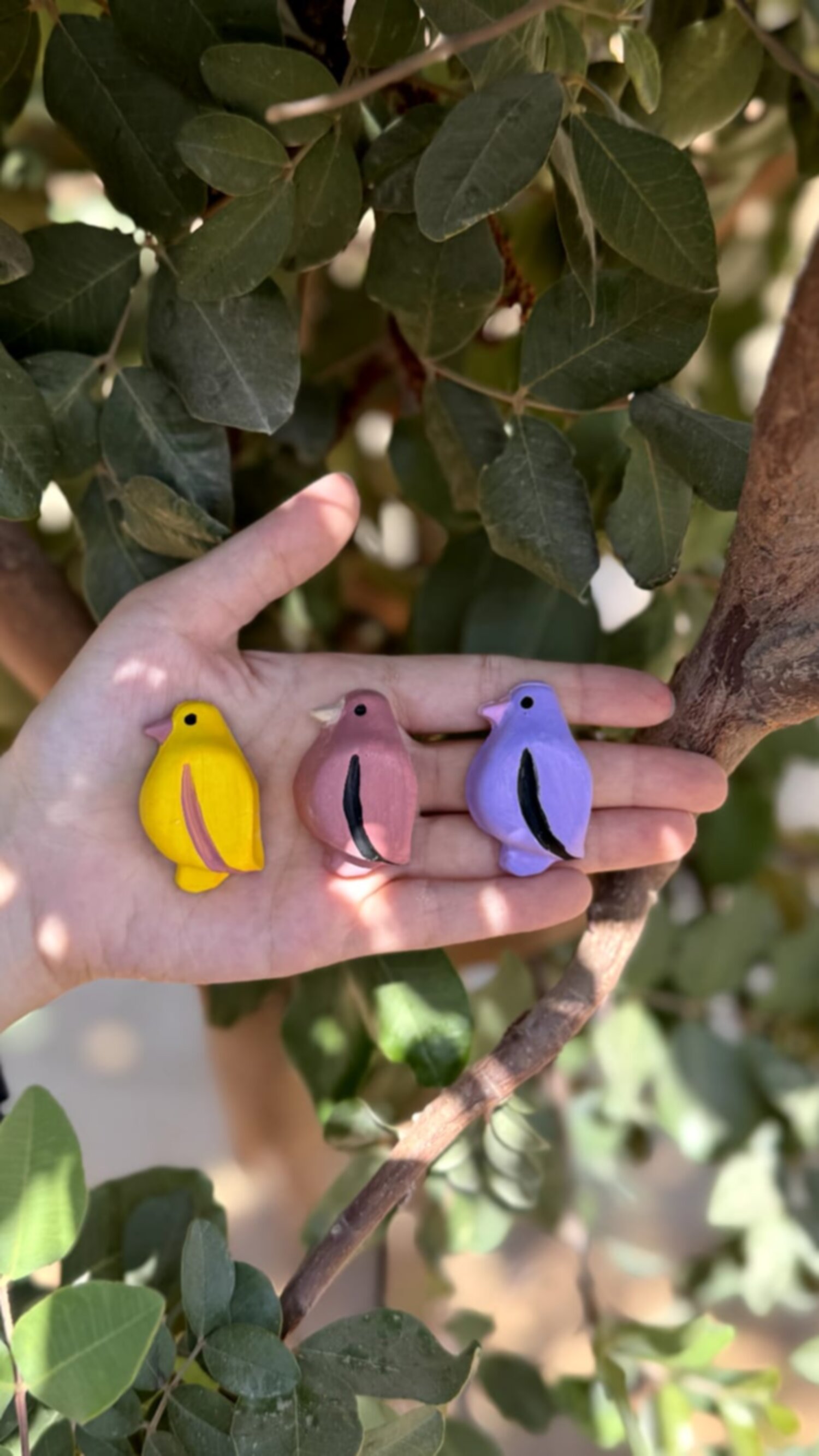 جبس ميني حمام 🕊️