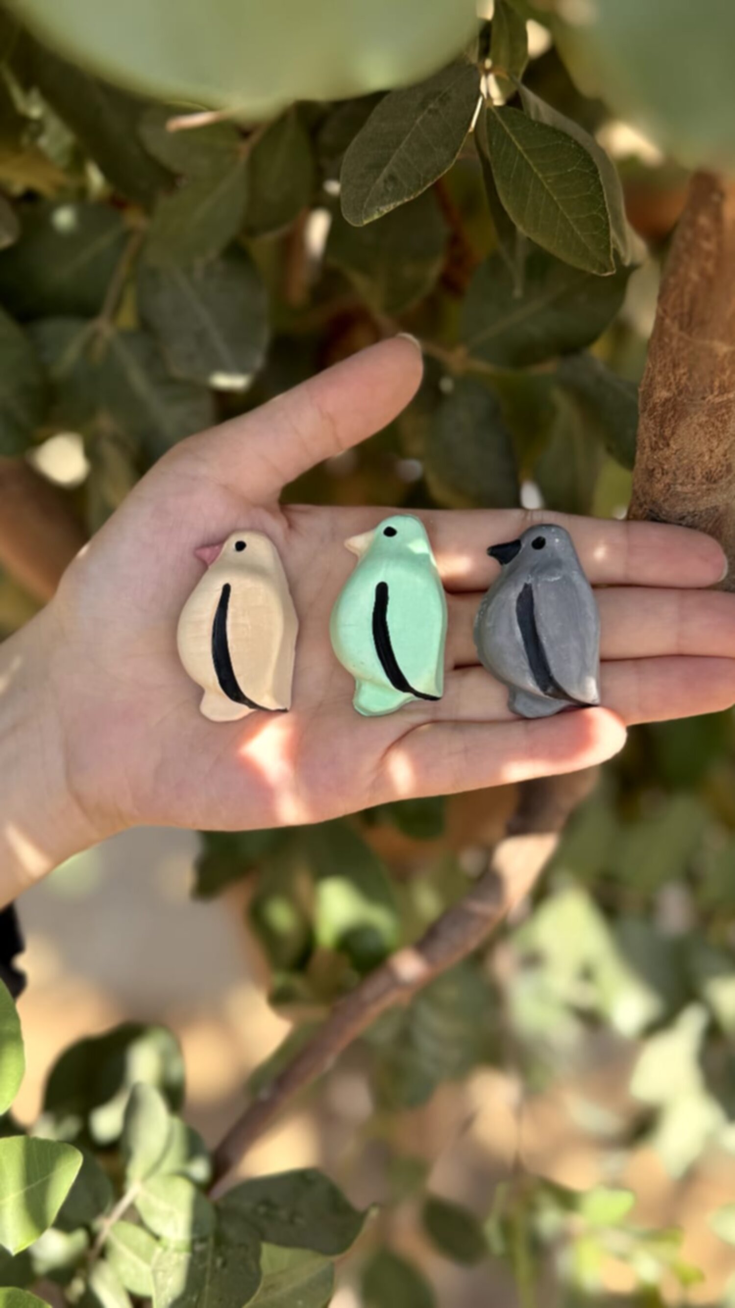 جبس ميني حمام 🕊️