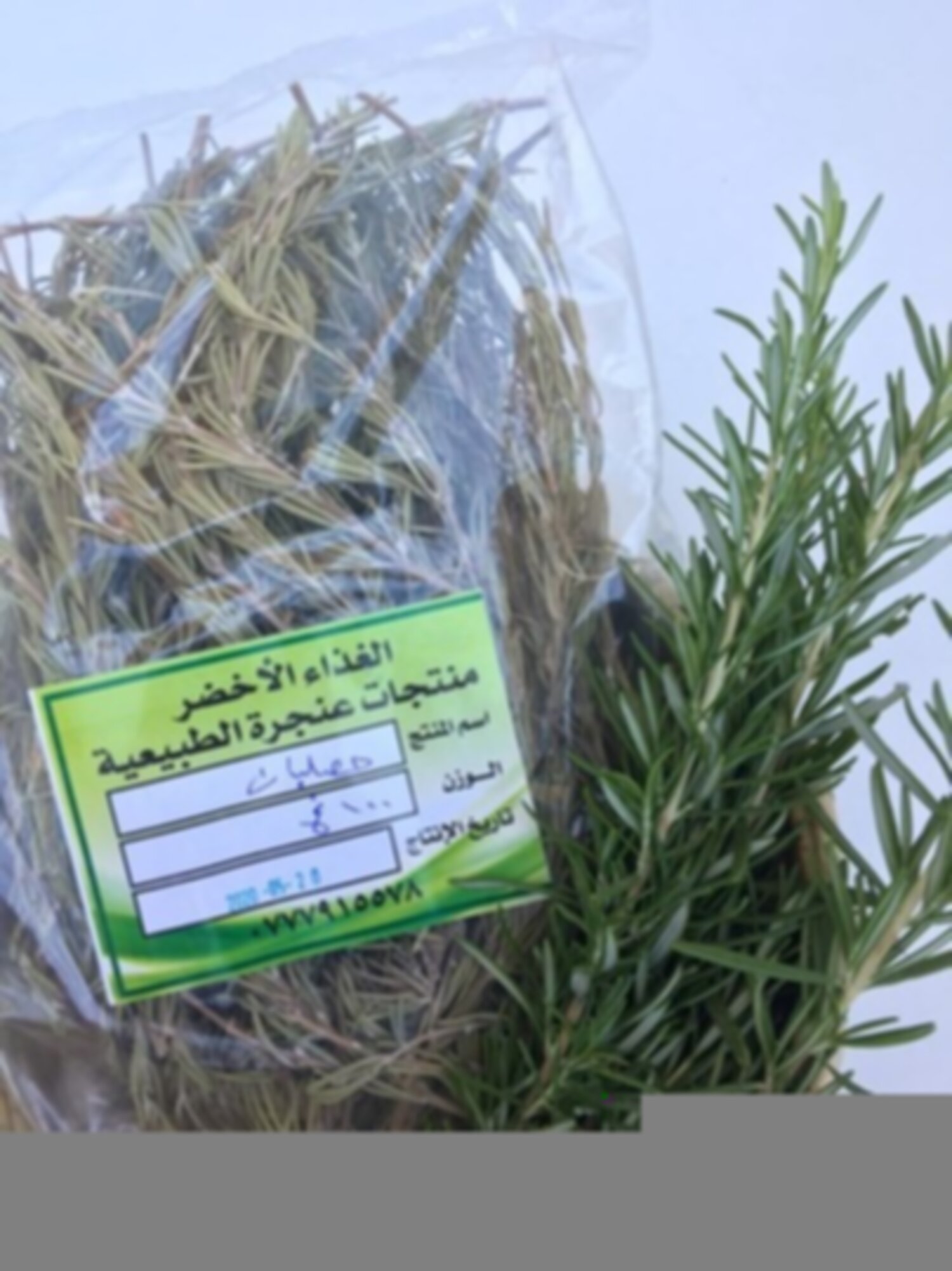 حصا اللبان